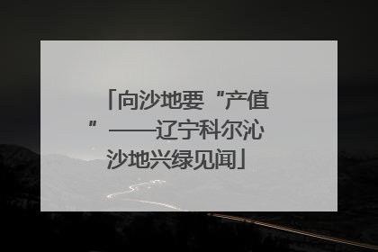 向沙地要“产值”——辽宁科尔沁沙地兴绿见闻